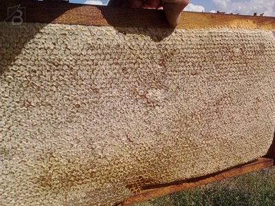 Запечатанная рамка с мёдом