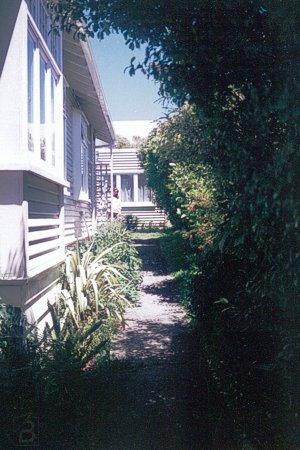 Новая Зеландия - садик рядом с домом