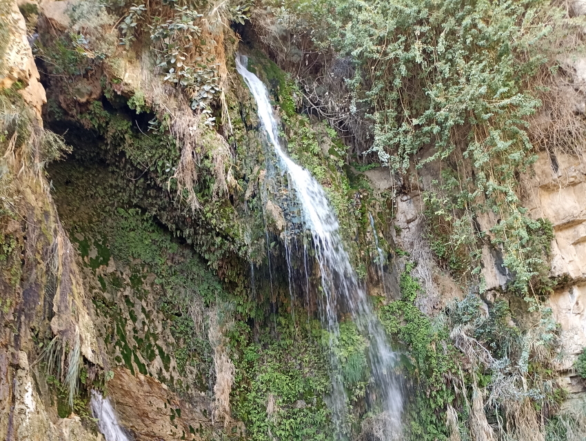Водопады Эйн-Геди