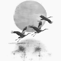 Журавли Журавли