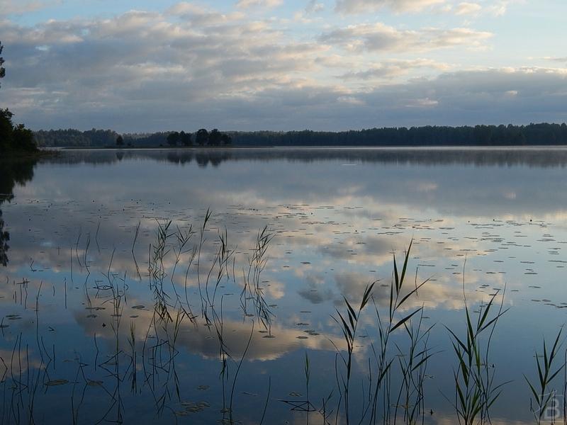 Озеро здесь шире. Харламповское озеро. Харламповское озеро Ленинградская. Озеро Нерское карась. Московское озеро Тверская.