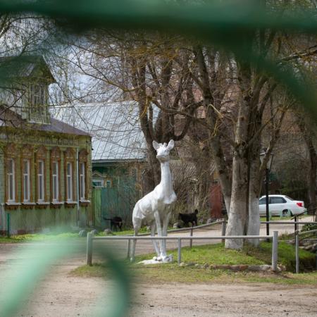 Просмотр увеличенного изображения