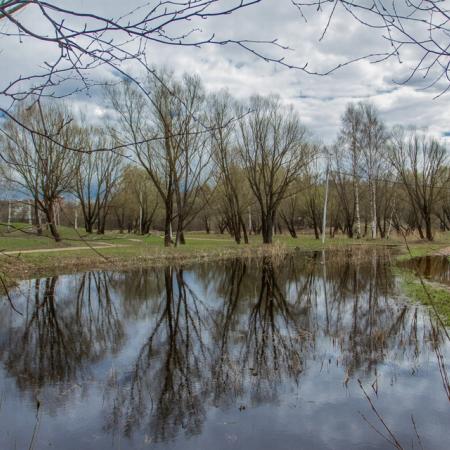 Просмотр увеличенного изображения