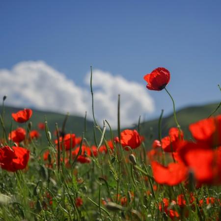 Просмотр увеличенного изображения