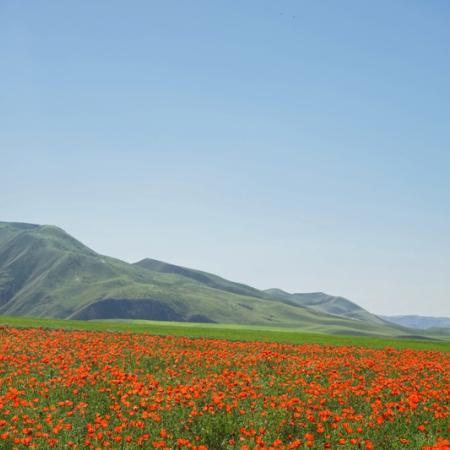 Просмотр увеличенного изображения