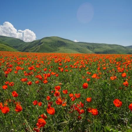 Просмотр увеличенного изображения