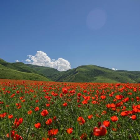 Просмотр увеличенного изображения