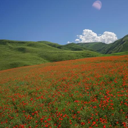 Просмотр увеличенного изображения