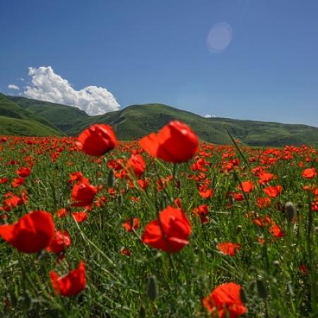 Просмотр увеличенного изображения