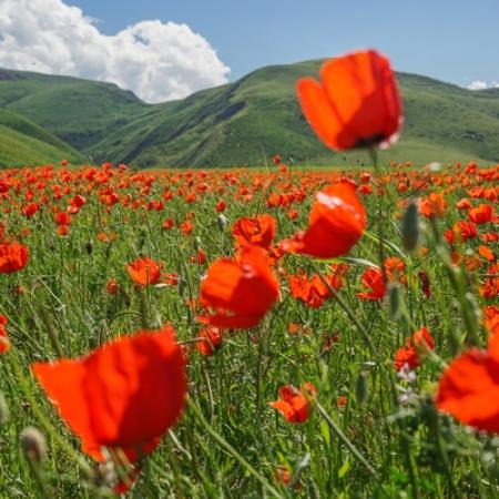 Просмотр увеличенного изображения