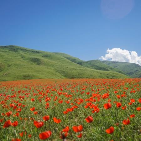 Просмотр увеличенного изображения