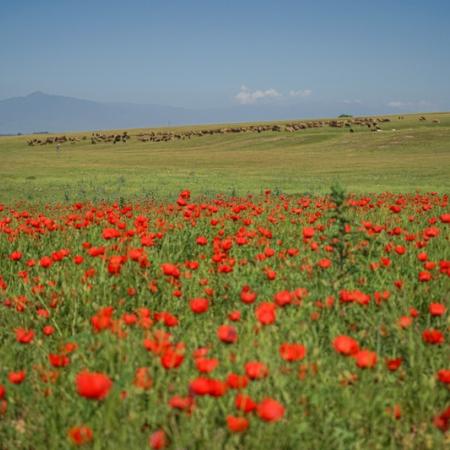 Просмотр увеличенного изображения