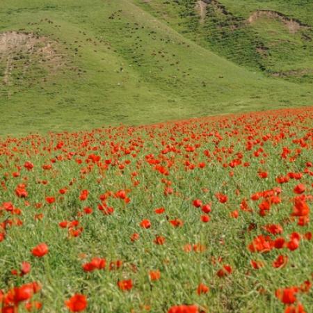 Просмотр увеличенного изображения