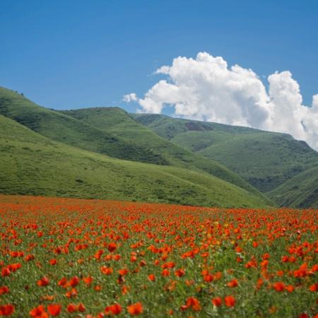 Просмотр увеличенного изображения