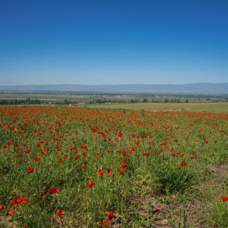 Просмотр увеличенного изображения