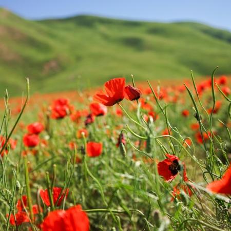 Просмотр увеличенного изображения