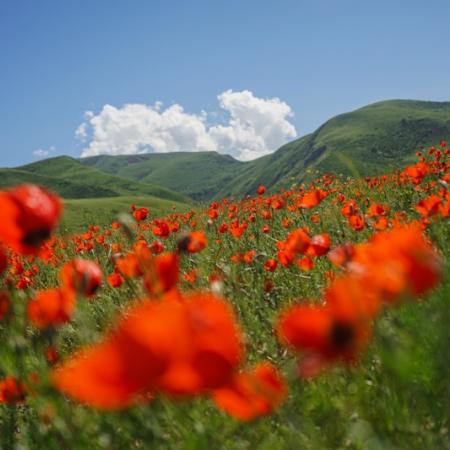 Просмотр увеличенного изображения