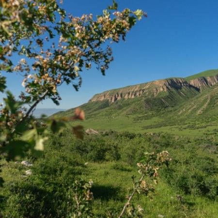 Просмотр увеличенного изображения