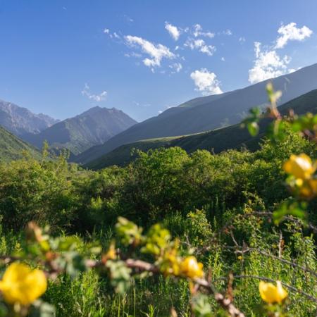 Просмотр увеличенного изображения
