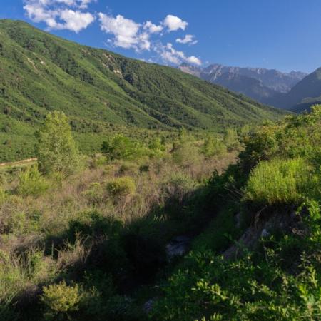 Просмотр увеличенного изображения