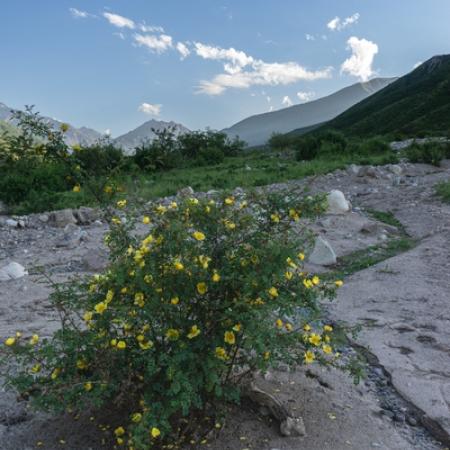 Просмотр увеличенного изображения