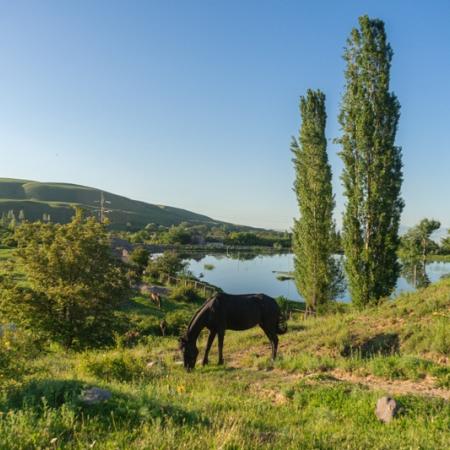 Просмотр увеличенного изображения