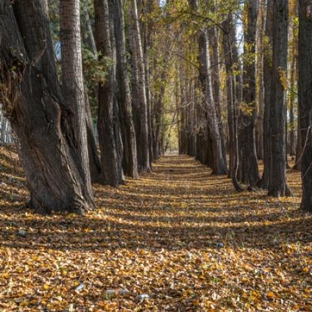 Просмотр увеличенного изображения