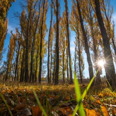 Просмотр увеличенного изображения