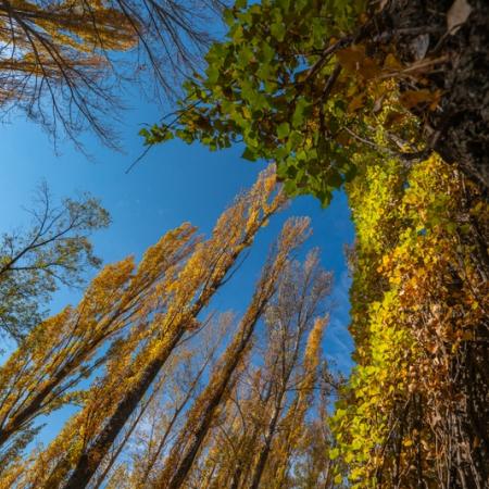 Просмотр увеличенного изображения