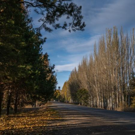 Просмотр увеличенного изображения