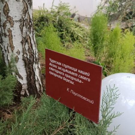Просмотр увеличенного изображения
