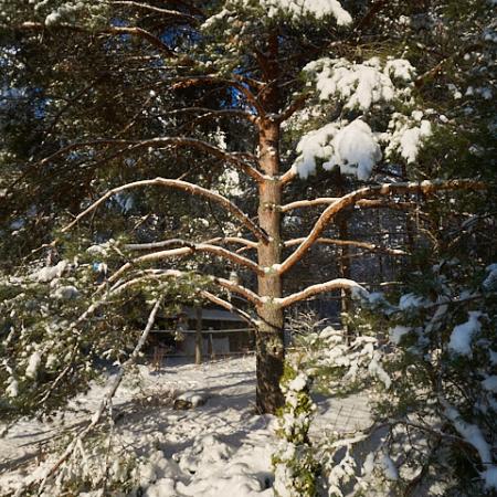 Просмотр увеличенного изображения