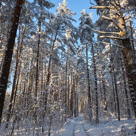 Просмотр увеличенного изображения