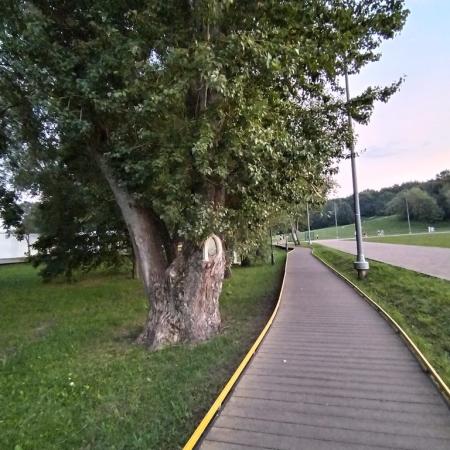 Просмотр увеличенного изображения