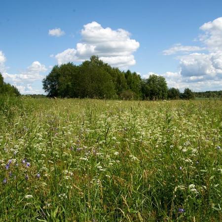 Просмотр увеличенного изображения