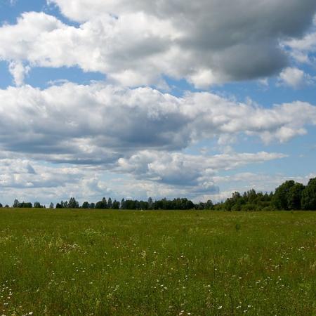 Просмотр увеличенного изображения