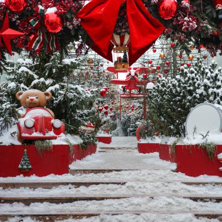 Просмотр увеличенного изображения