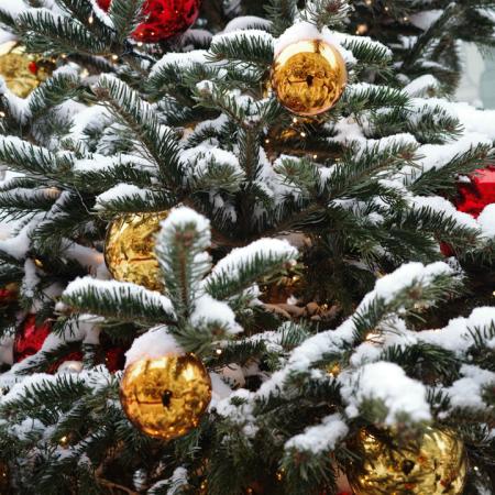 Просмотр увеличенного изображения