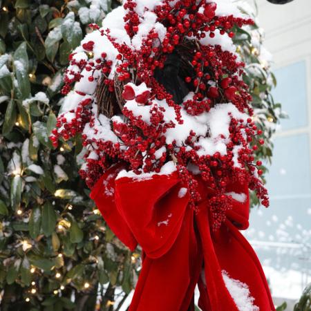 Просмотр увеличенного изображения