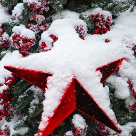 Просмотр увеличенного изображения