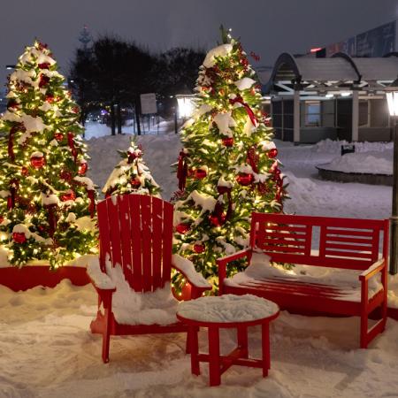 Просмотр увеличенного изображения