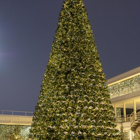 Просмотр увеличенного изображения