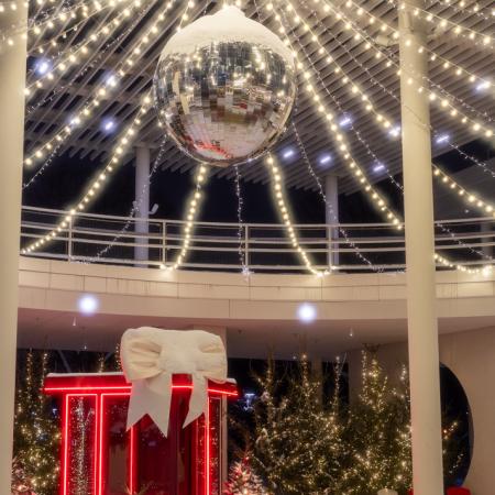 Просмотр увеличенного изображения