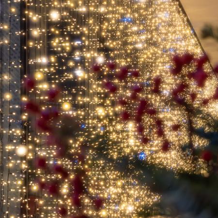 Просмотр увеличенного изображения