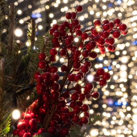 Просмотр увеличенного изображения