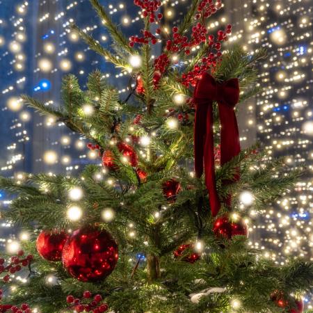 Просмотр увеличенного изображения