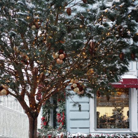 Просмотр увеличенного изображения