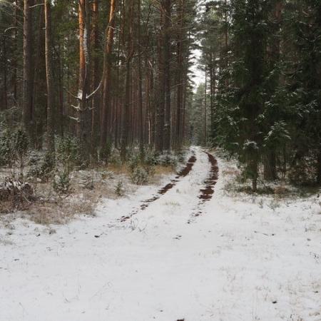 Просмотр увеличенного изображения
