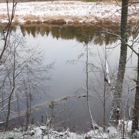 Просмотр увеличенного изображения