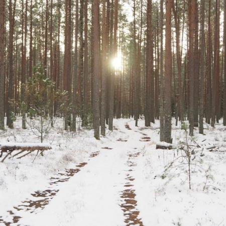 Просмотр увеличенного изображения